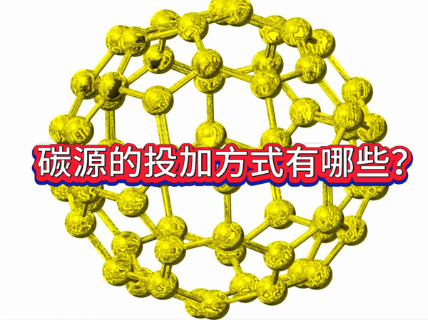 反硝化碳源的正确投加方式，应该是什么样的？